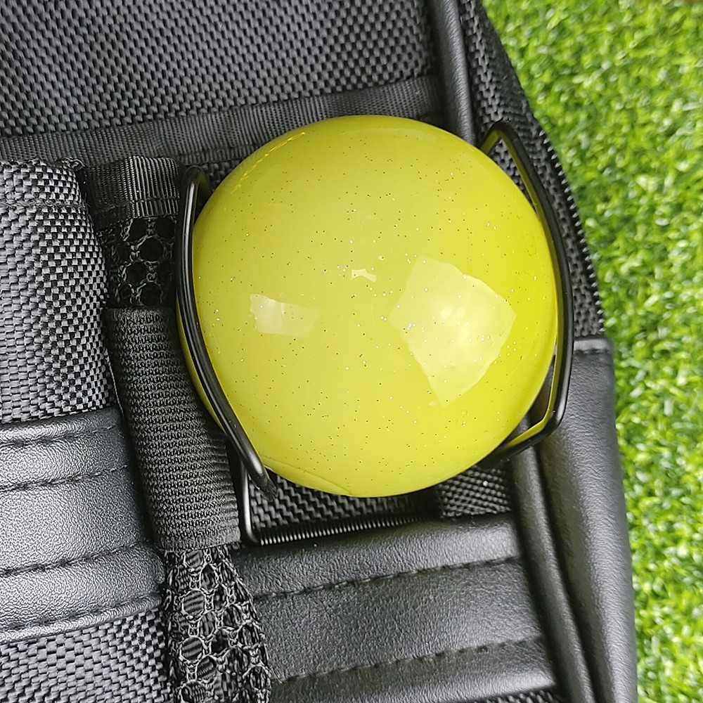 파크 골프 볼 클립 골프 클럽 도구 골프 볼 홀더 훈련 - Golf Equipment Holder 리뷰 및 가격